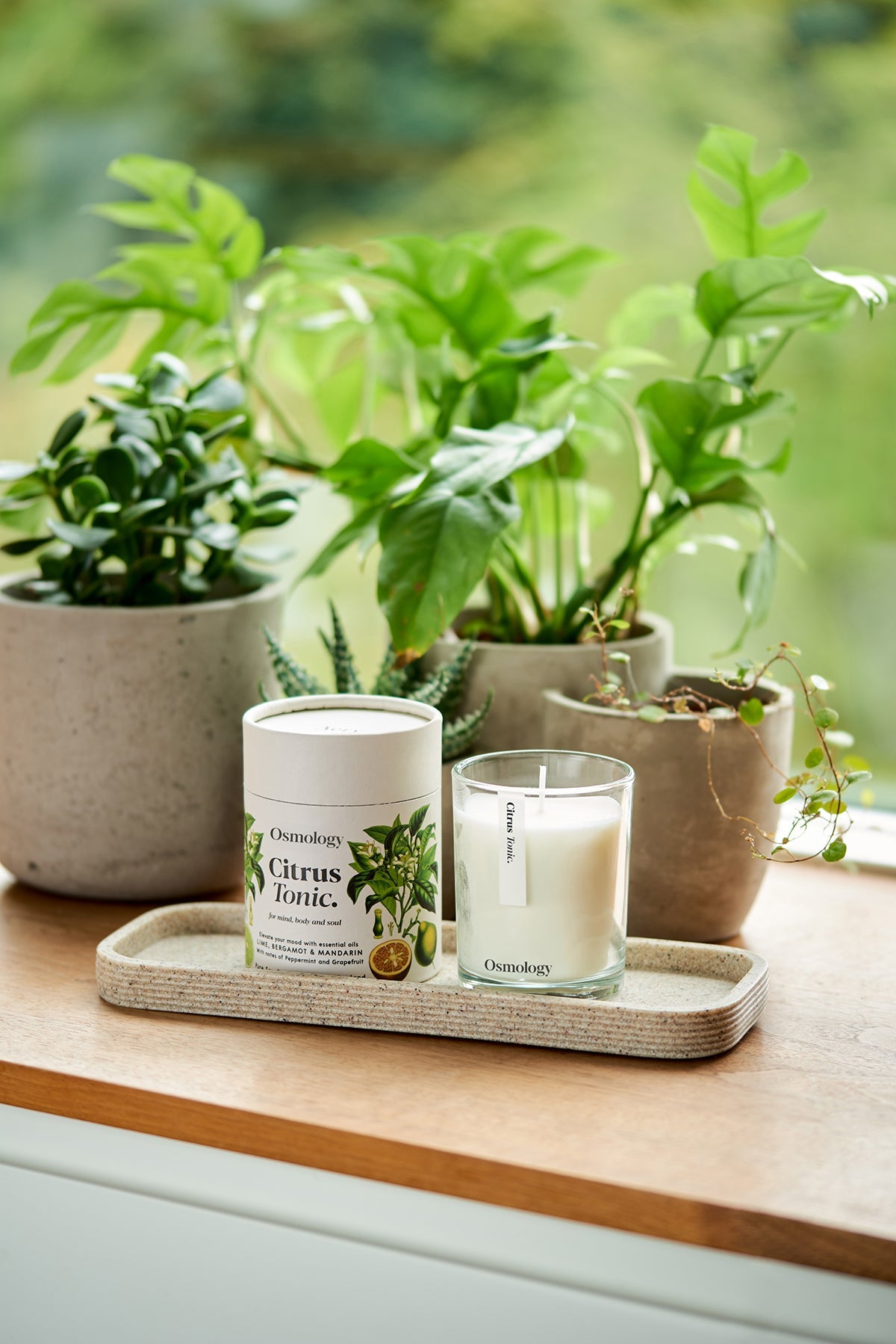 Citrus Tonic Scented Candle