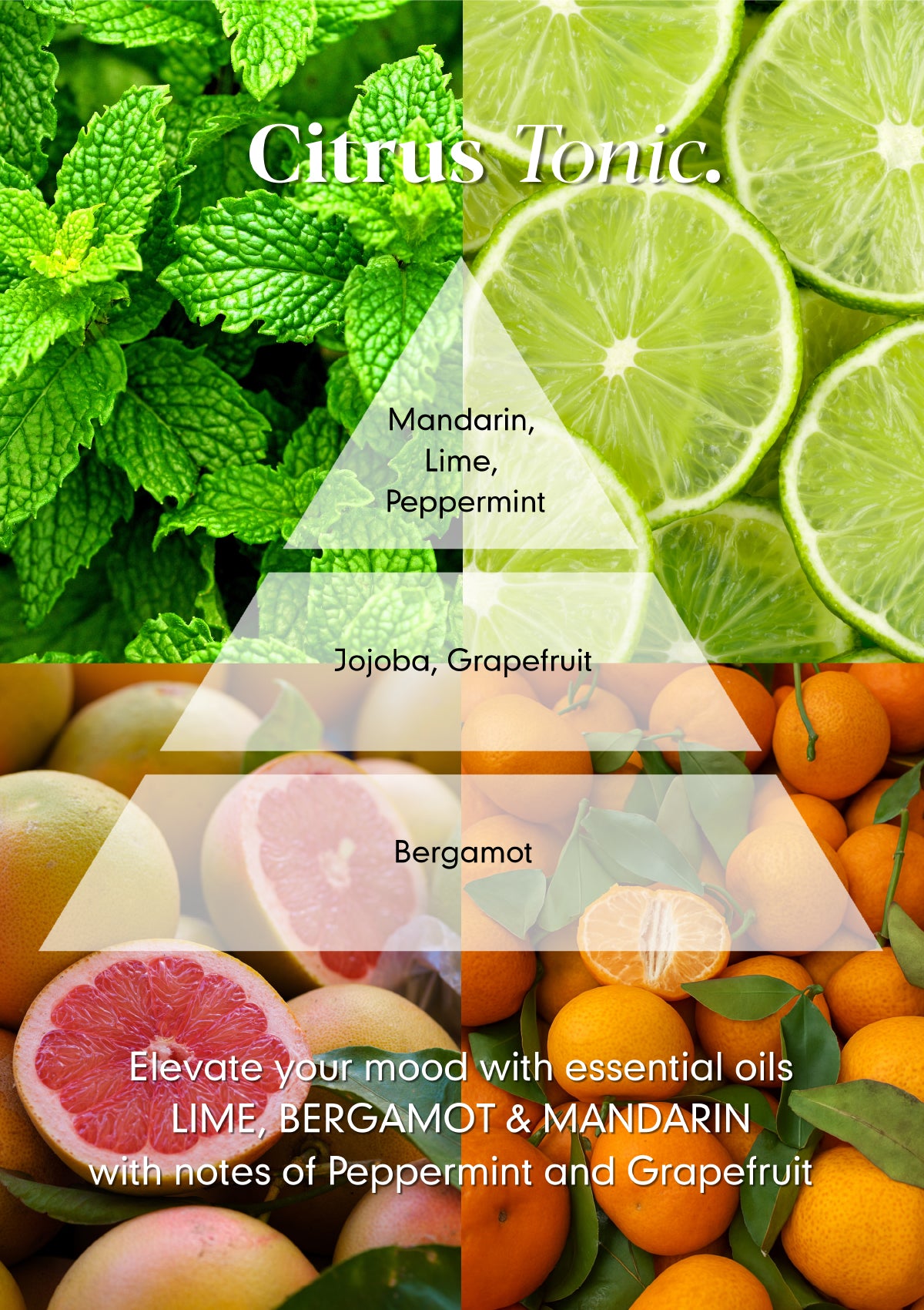 Citrus Tonic Reed Diffuser