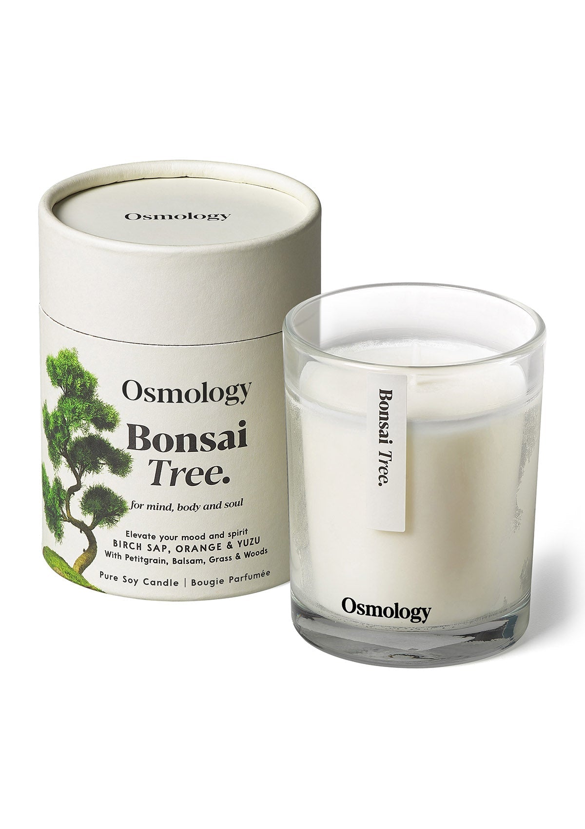 Bonsai Tree Scented Candle