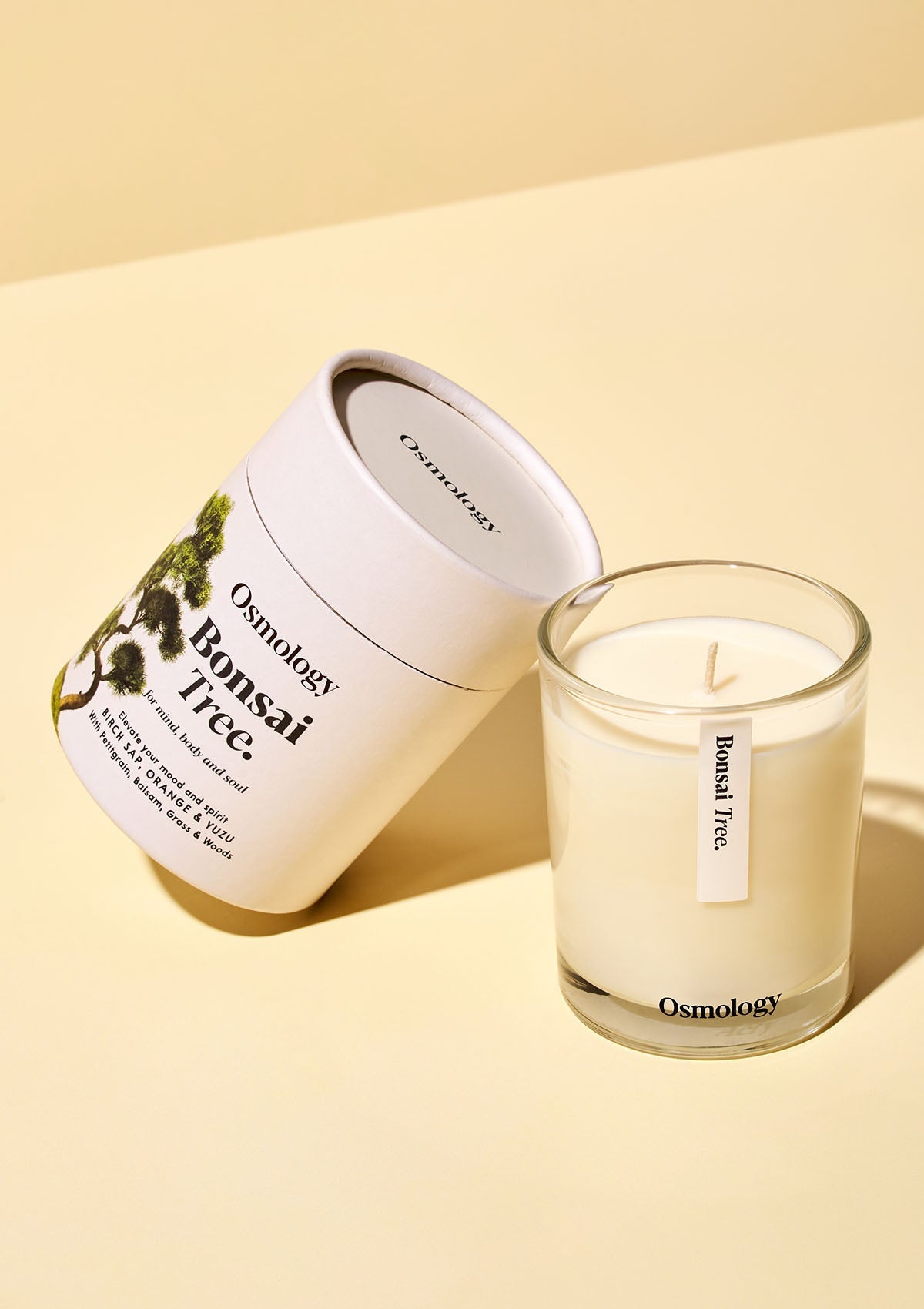 Bonsai Tree Scented Candle