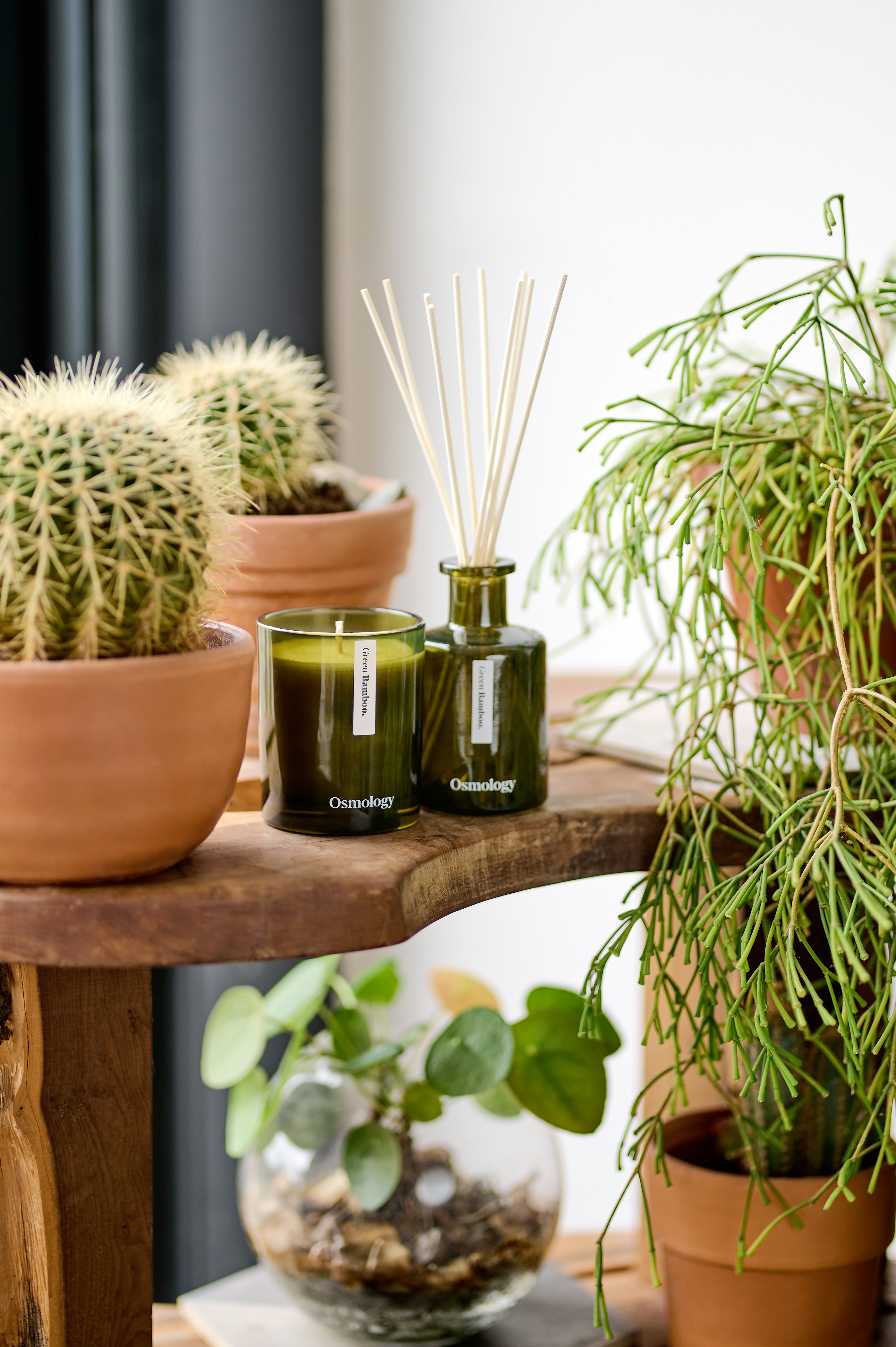 Green Bamboo Scented Candle