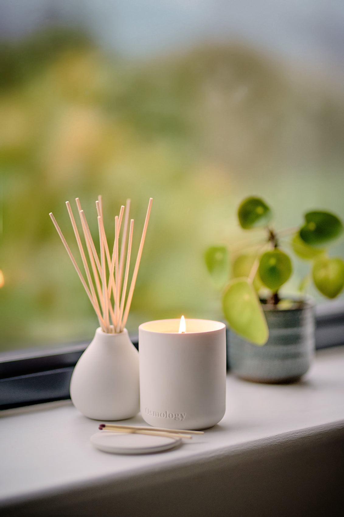 Nordic Cedar Scented Candle