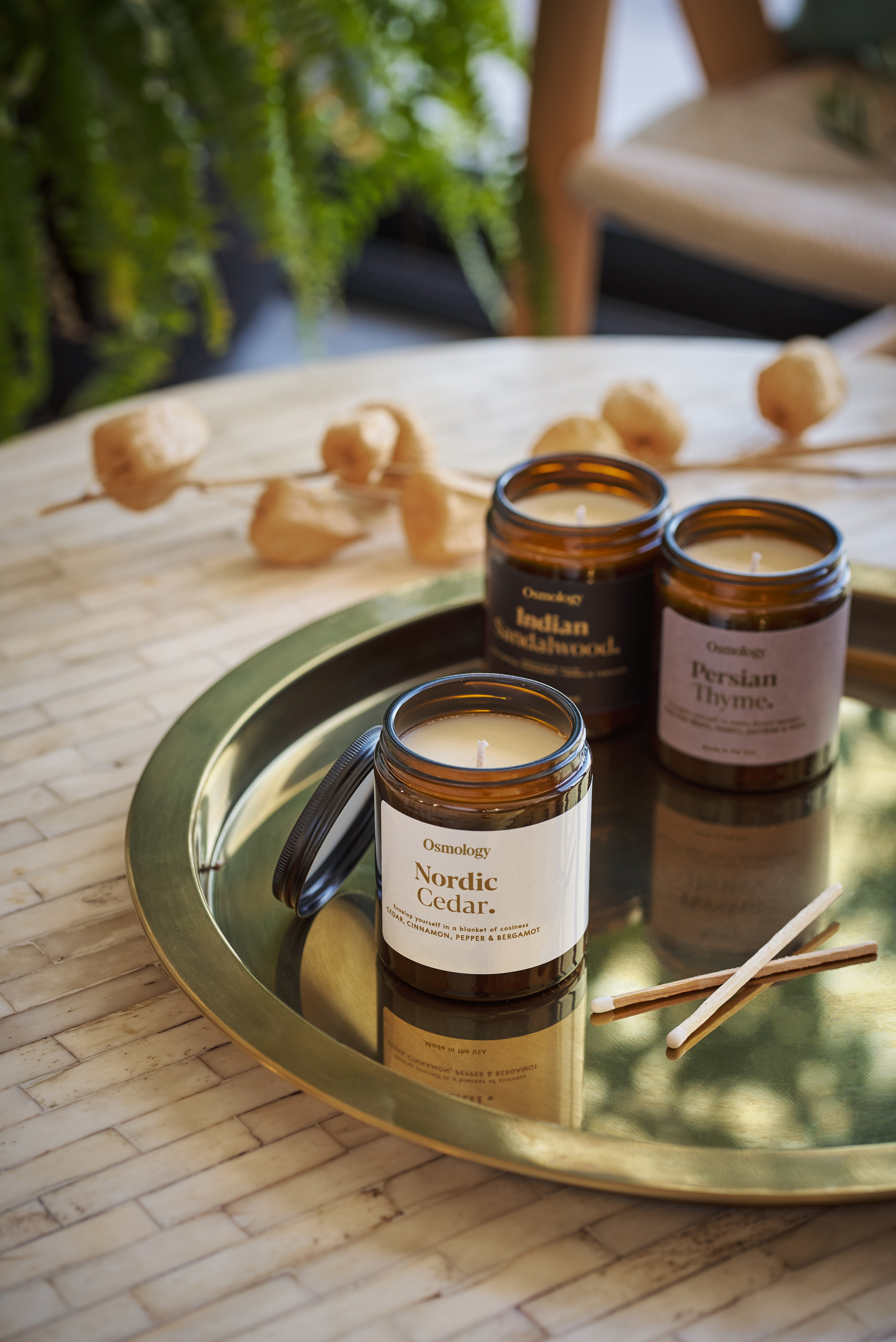 Nordic Cedar Scented Jar Candle