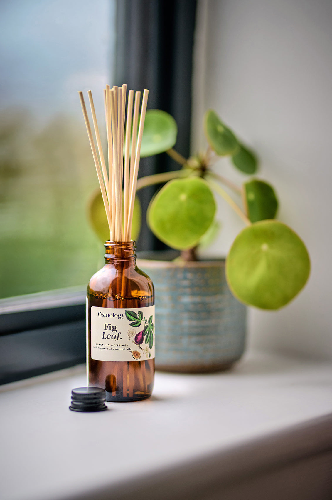 Fig Leaf Amber Diffuser Refill