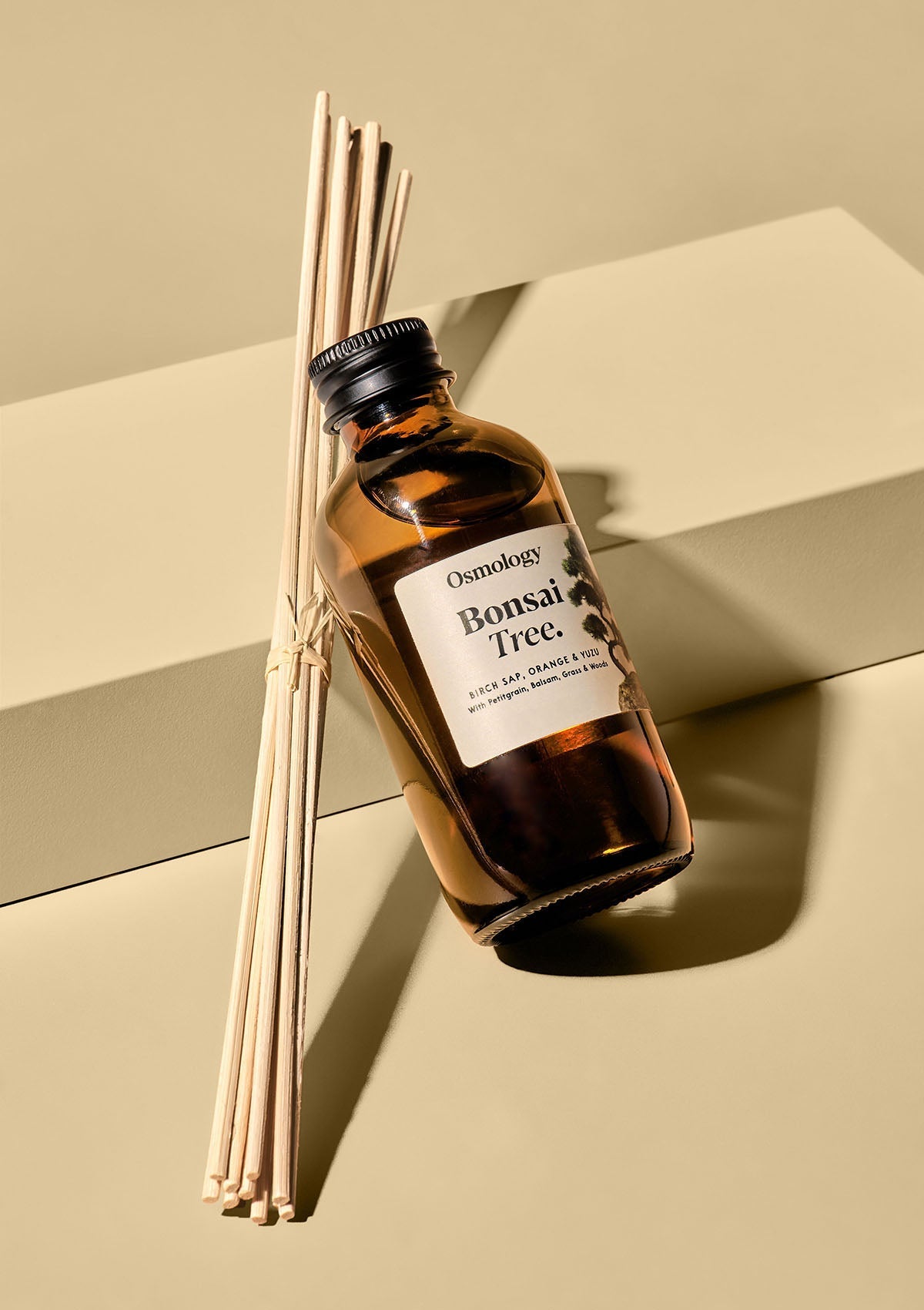 Bonsai Tree Amber Diffuser Refill