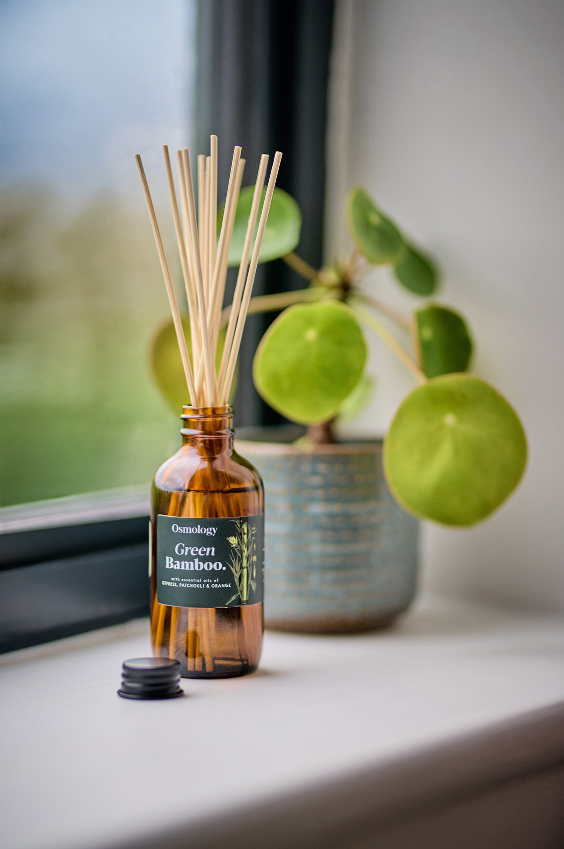 Green Bamboo Amber Diffuser Refill