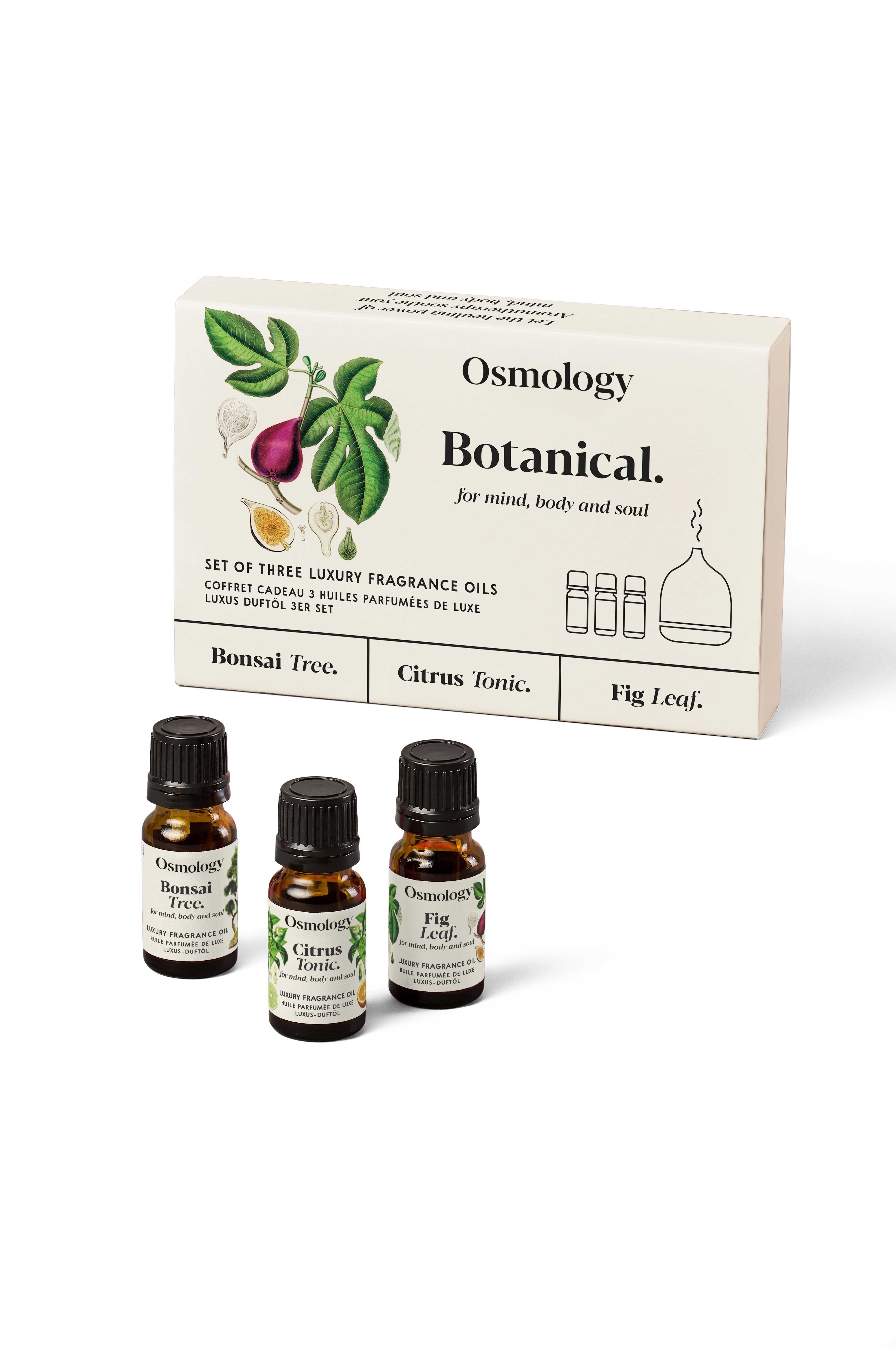 Botanical Fragrance Oil Set