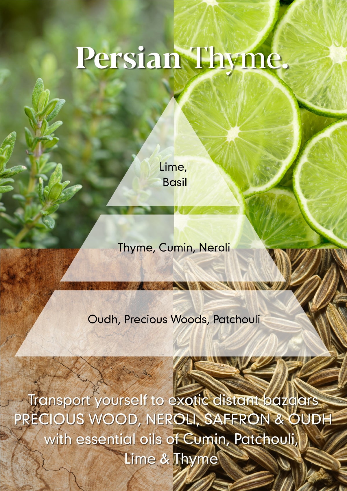 Persian Thyme Amber Diffuser Refill