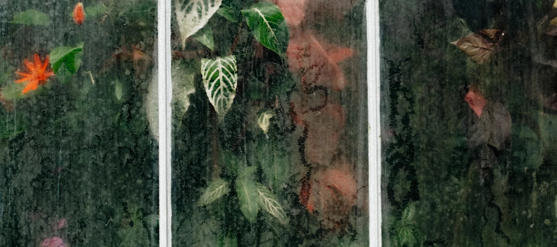 aery living imagery
