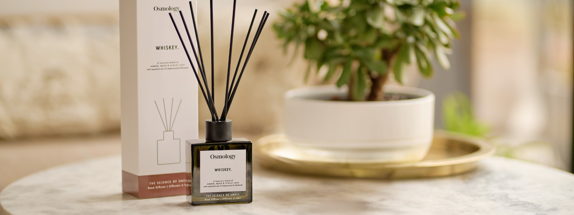 Best Reed Diffusers for a Calm & Productive Home Office (2026 Guide)