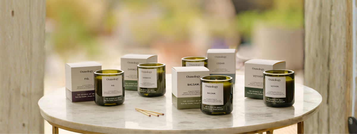 What Are the Most Popular Candle Fragrances in 2026?
