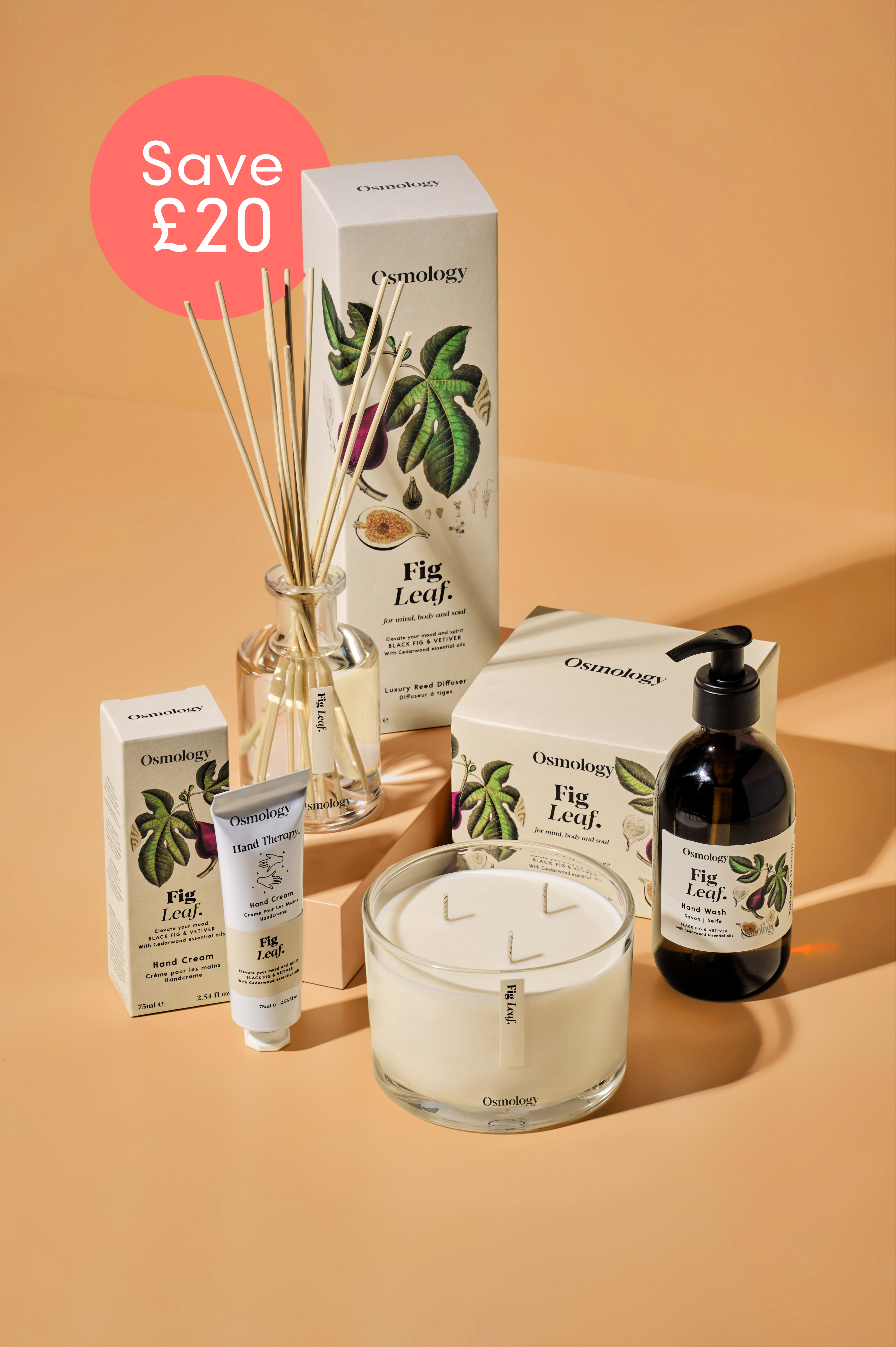 Fig Leaf Bundle