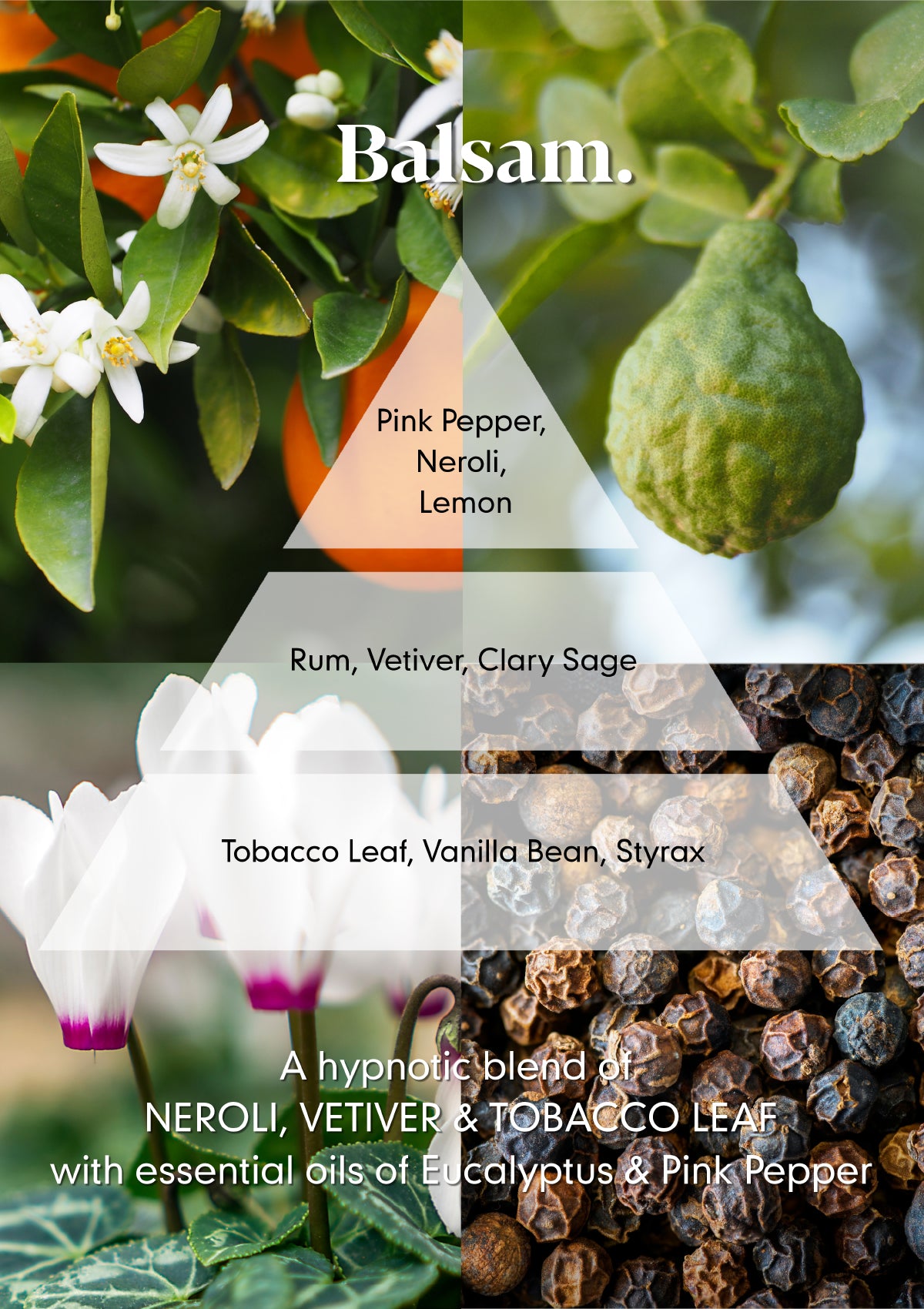 Balsam Reed Diffuser