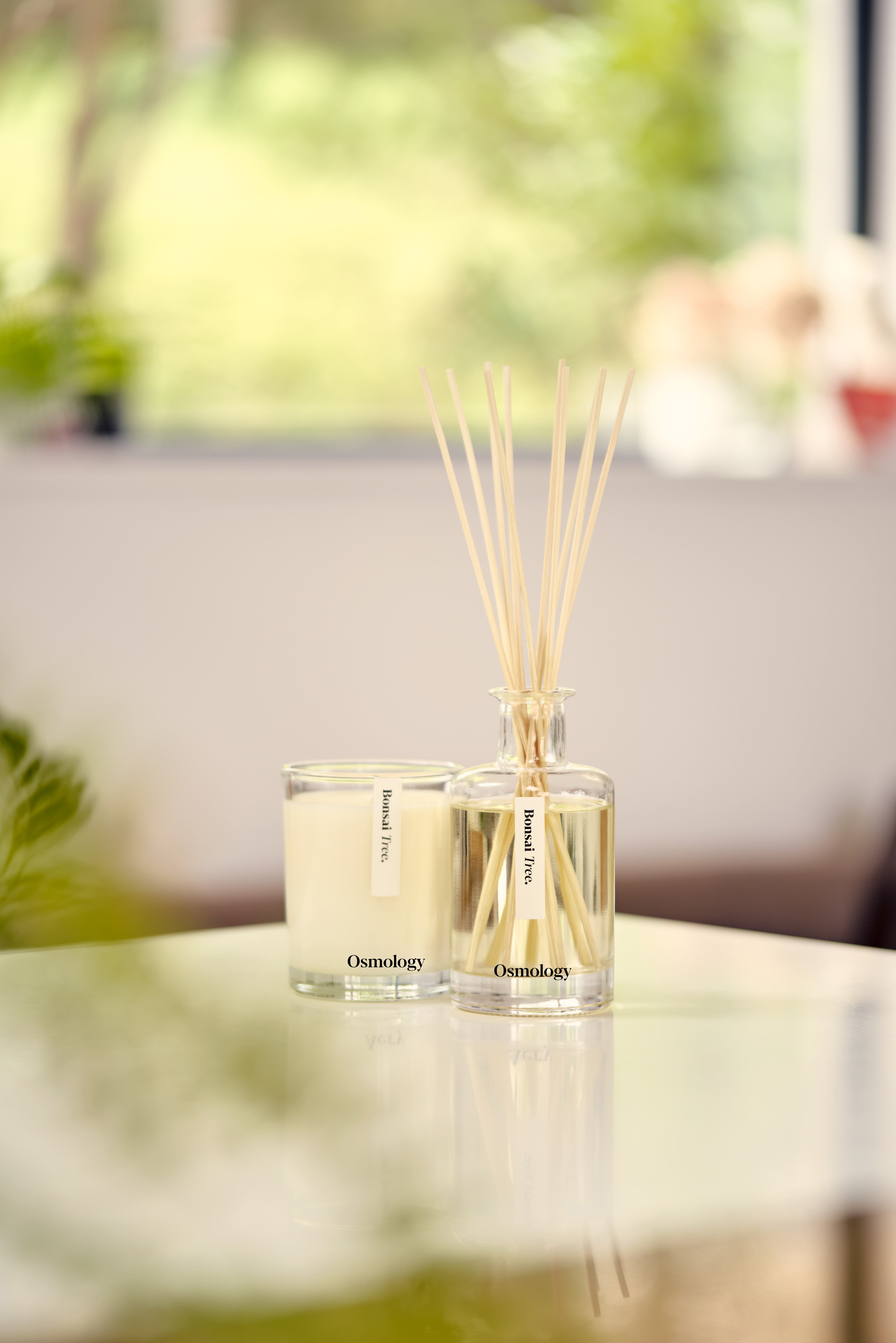 Bonsai Tree Reed Diffuser