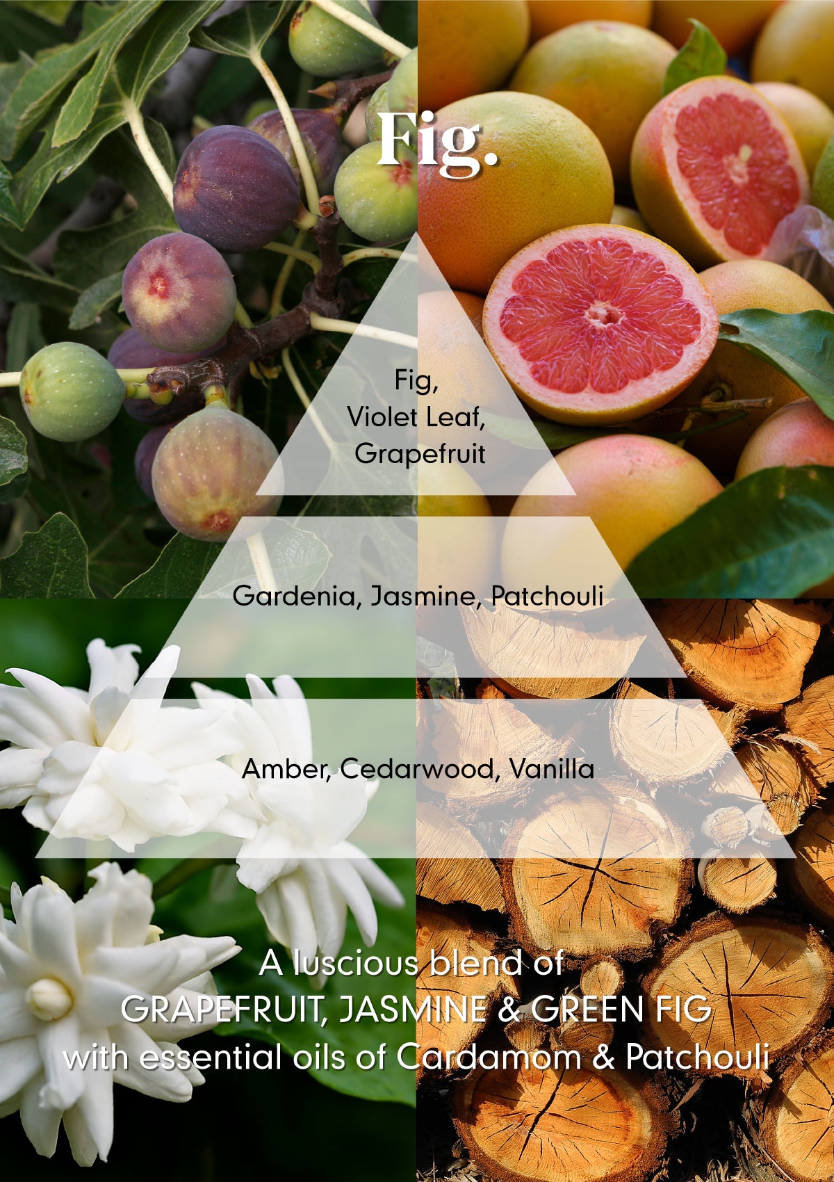 Fig Hand Cream