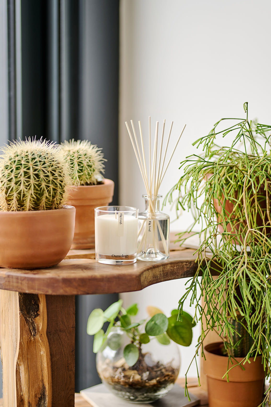 Fig Leaf Reed Diffuser