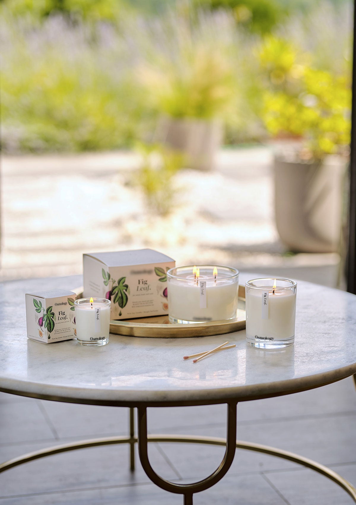 Fig Leaf Triple Wick Scented Candle
