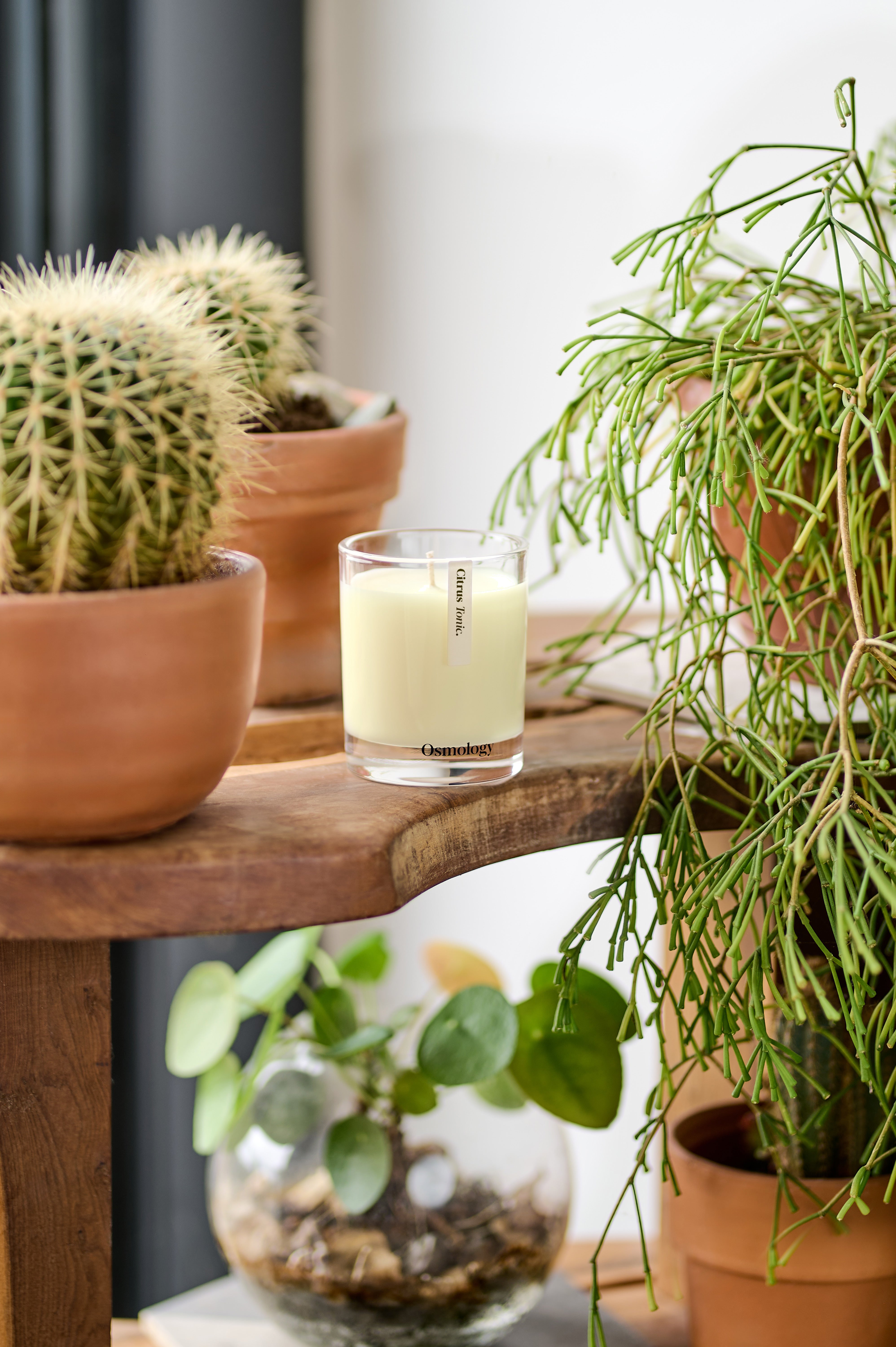 Citrus Tonic Scented Candle