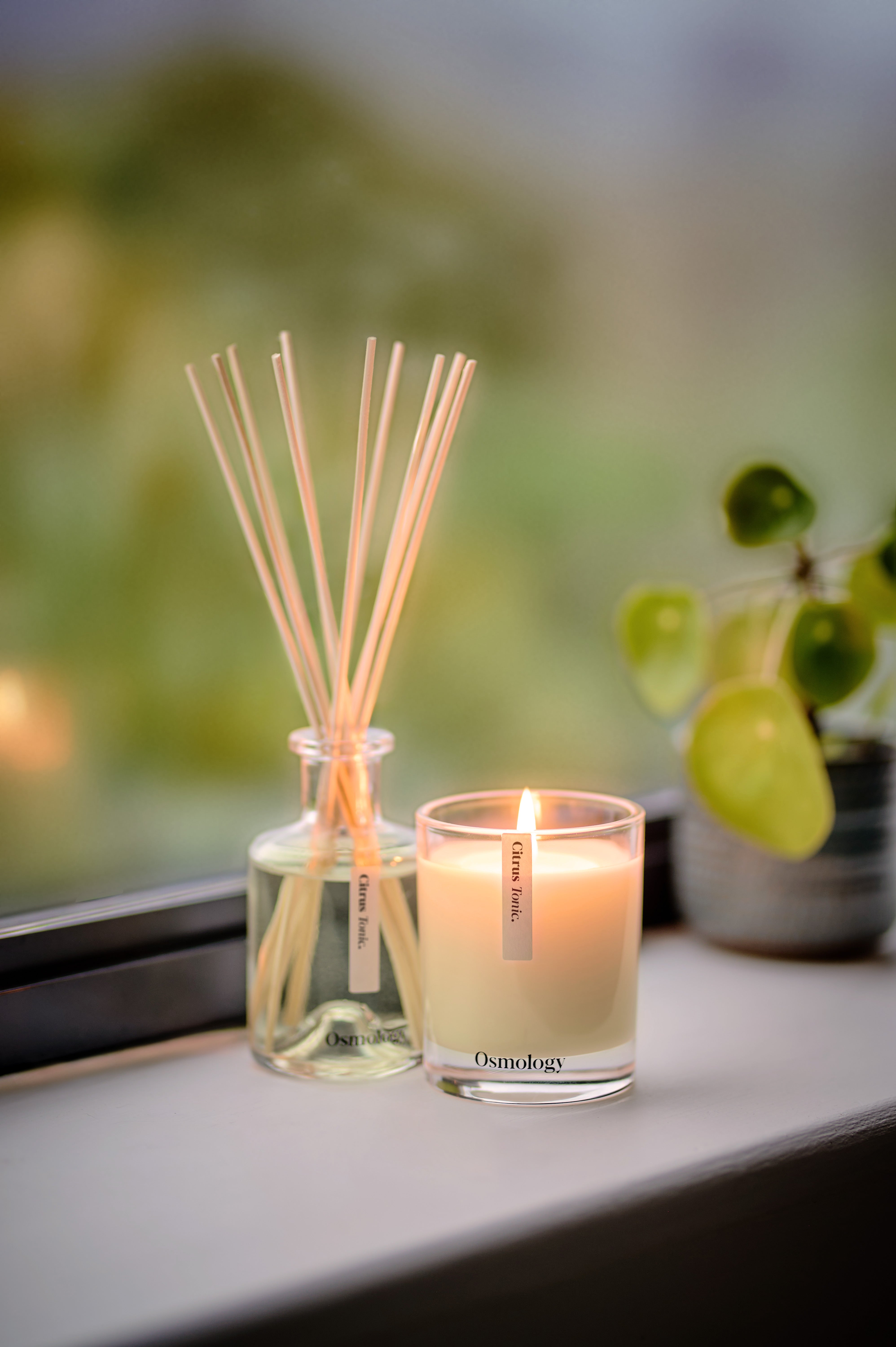 Citrus Tonic Reed Diffuser