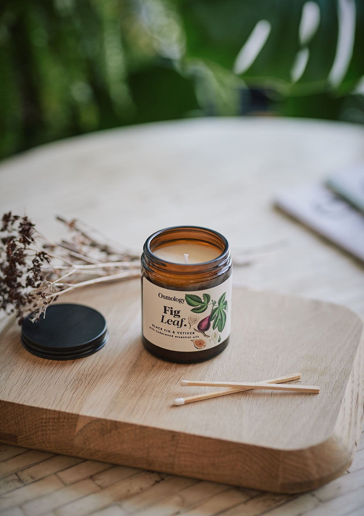 Fig Leaf Scented Jar Candle
