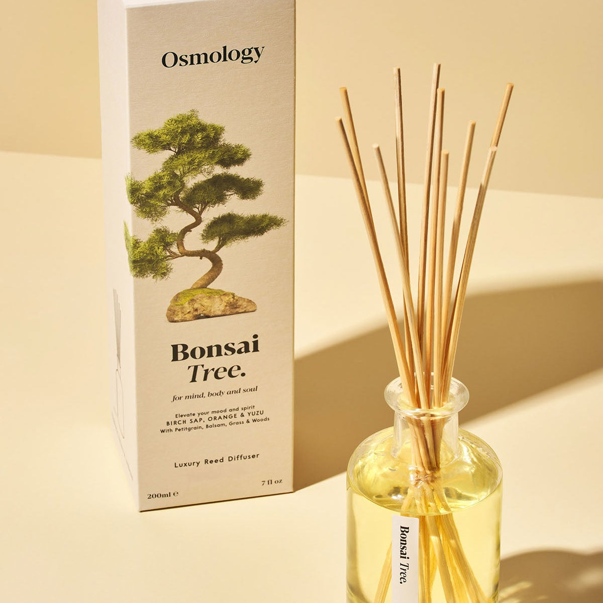 aroma tree bonsai Bonsai Tree Reed Diffuser