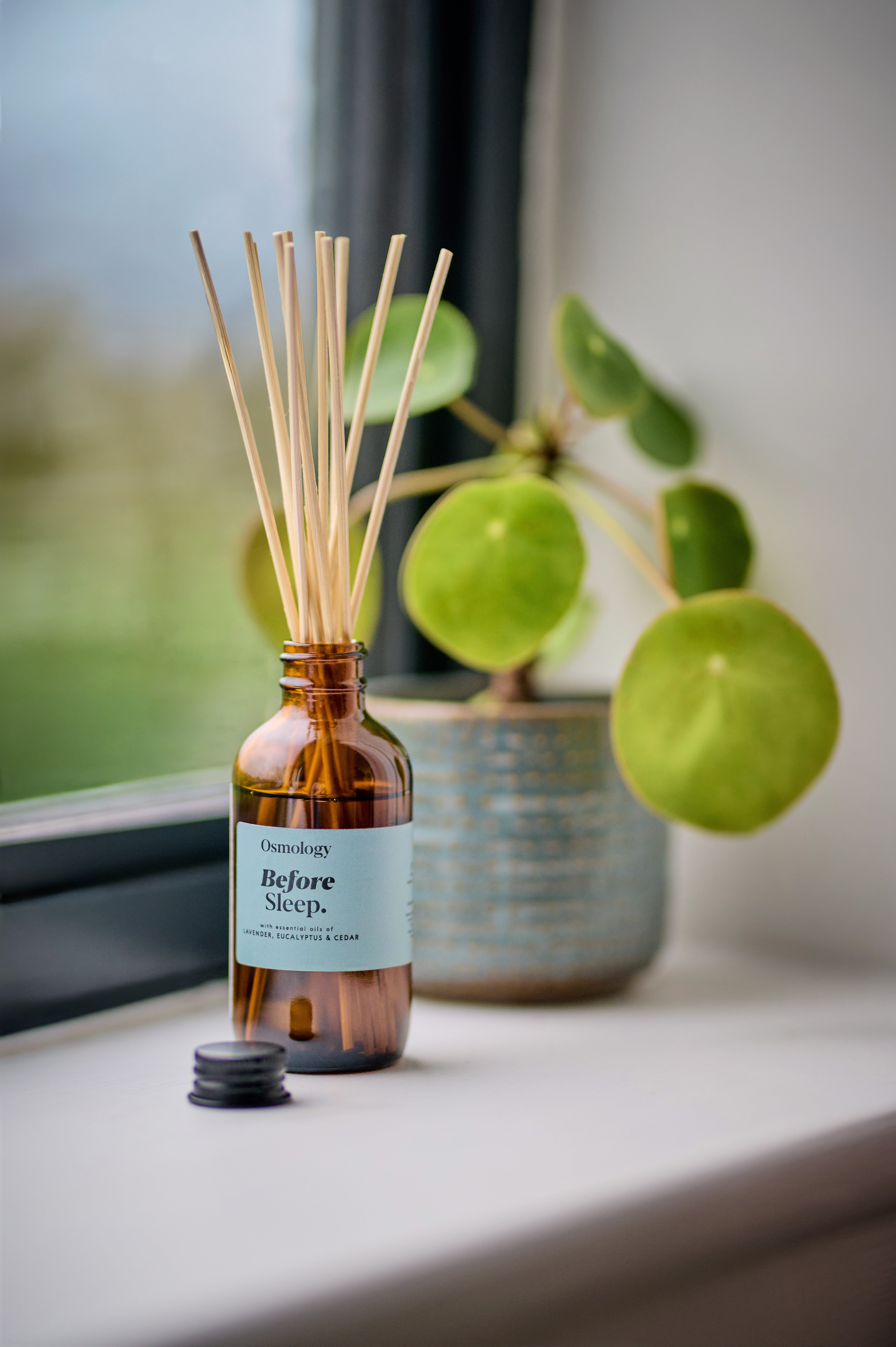 Before Sleep Amber Diffuser Refill