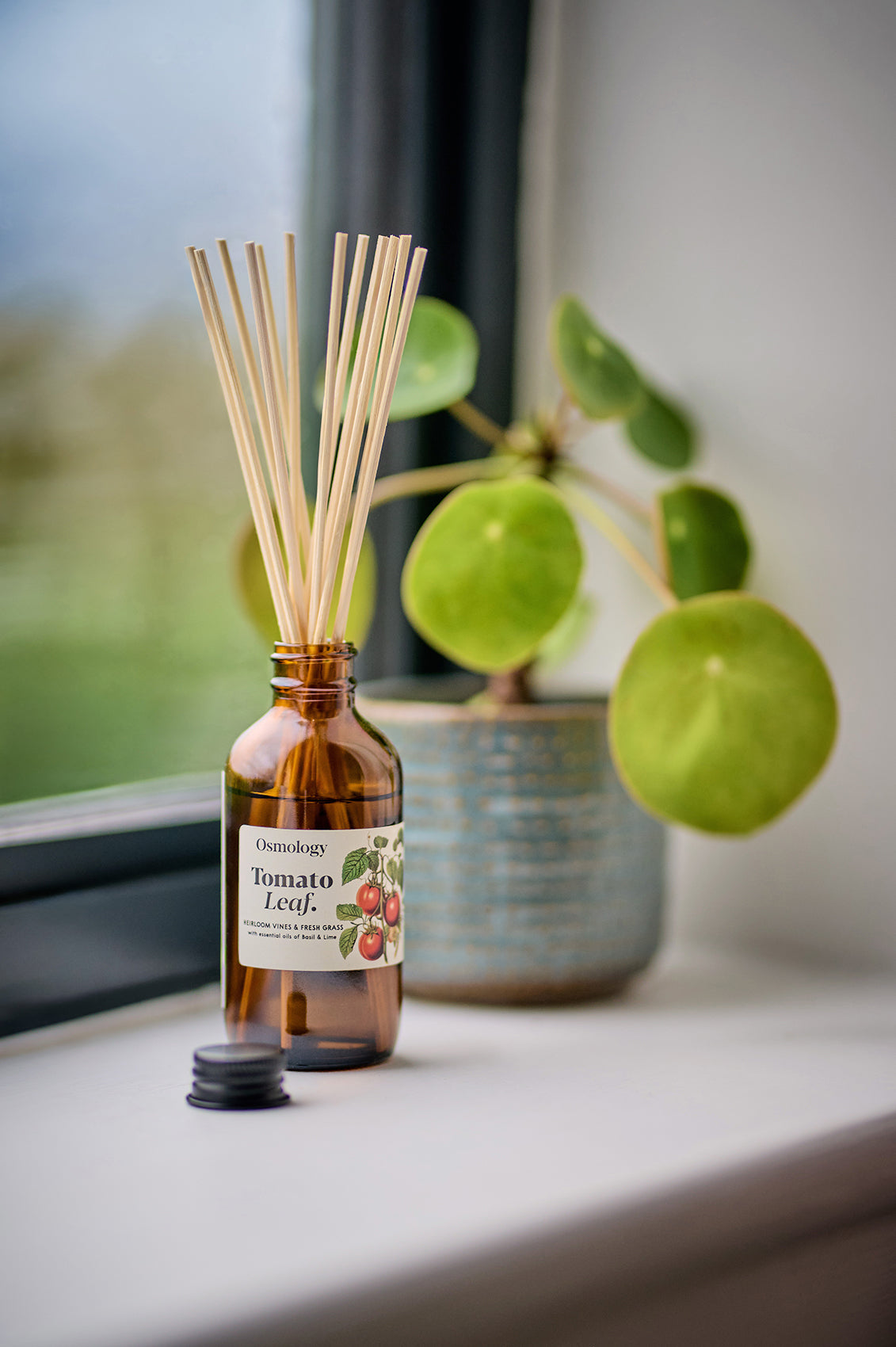 Tomato Leaf Amber Diffuser Refill