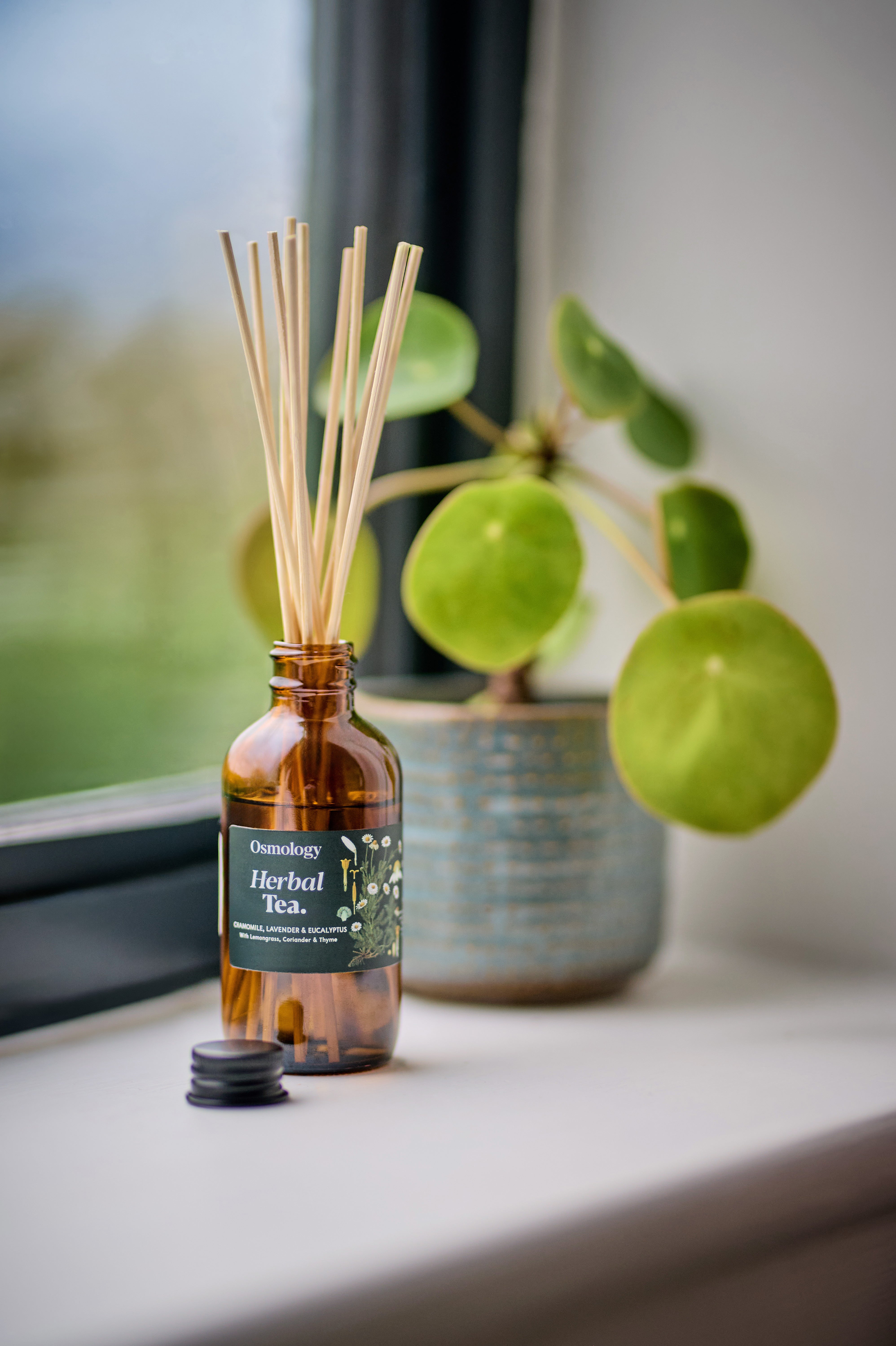 Herbal Tea Amber Diffuser Refill