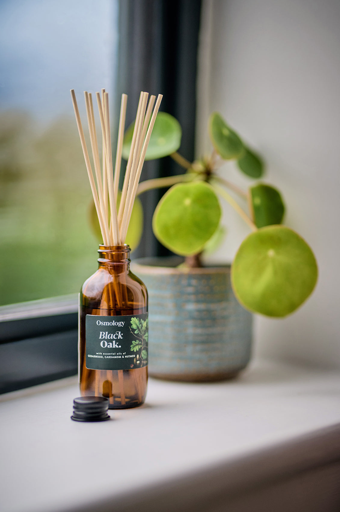 Black Oak Amber Diffuser Refill