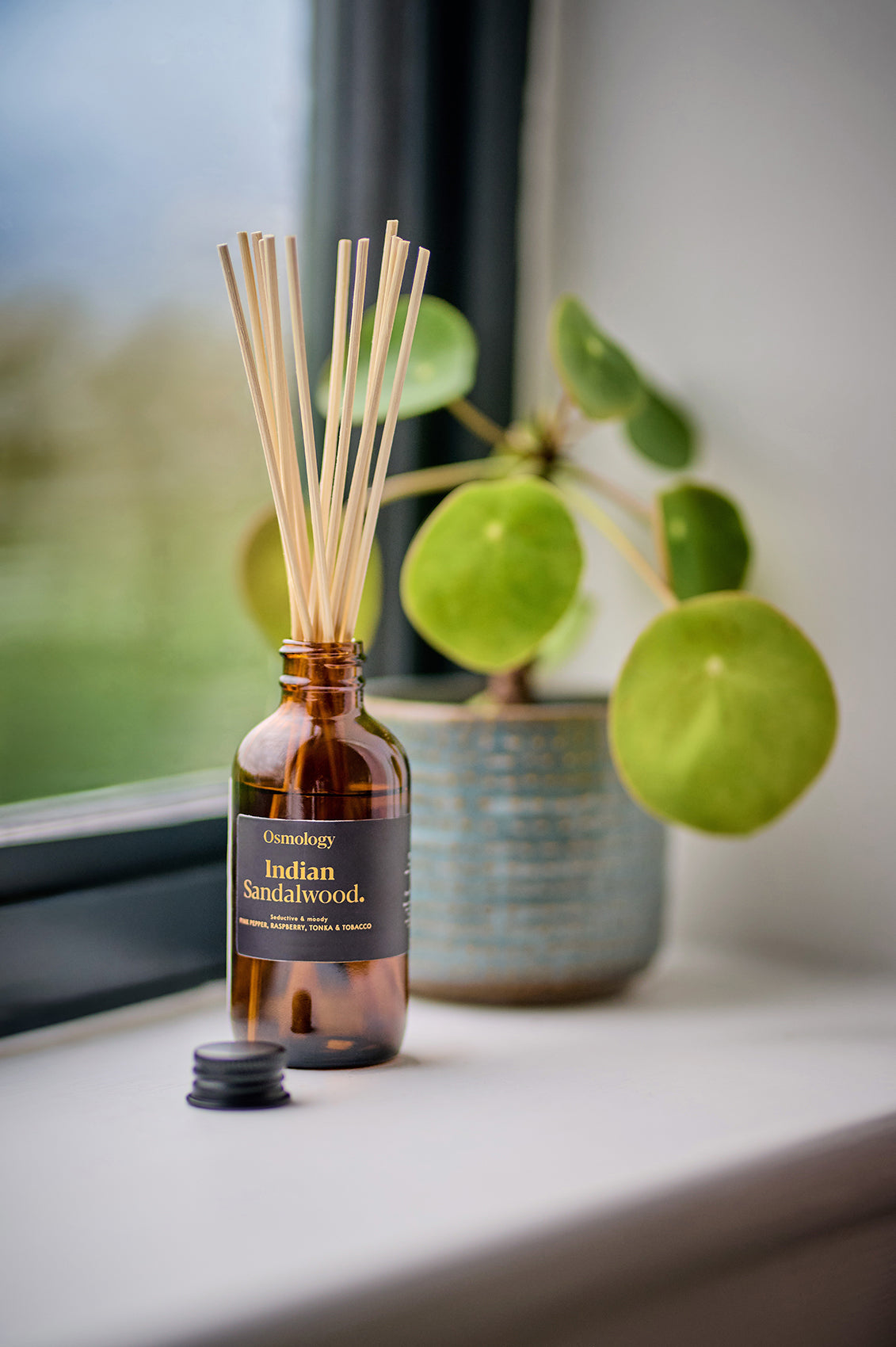 Indian Sandalwood Amber Diffuser Refill