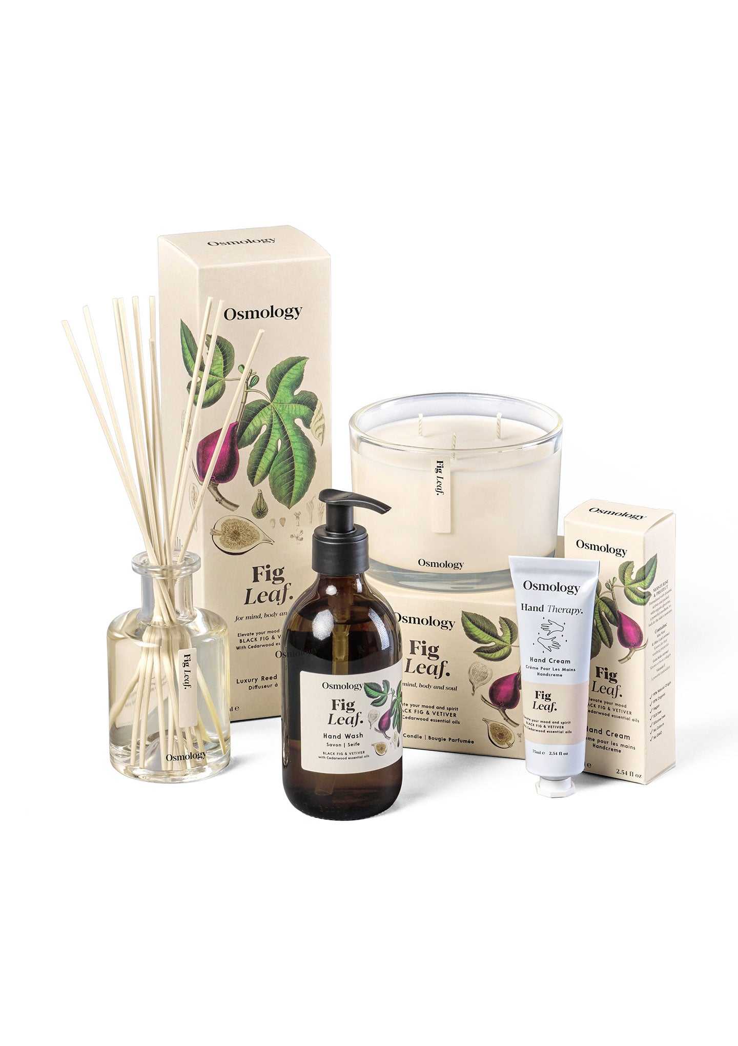 Fig Leaf Bundle