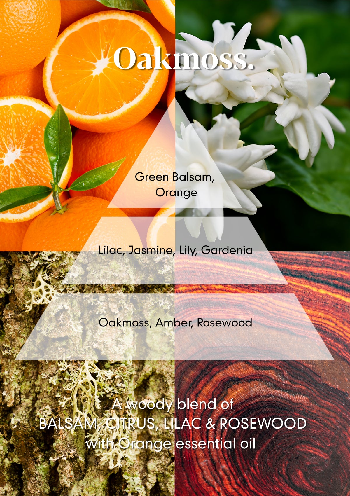Oakmoss Perfume Oil